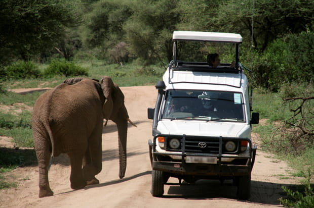 Pas la bonne direction