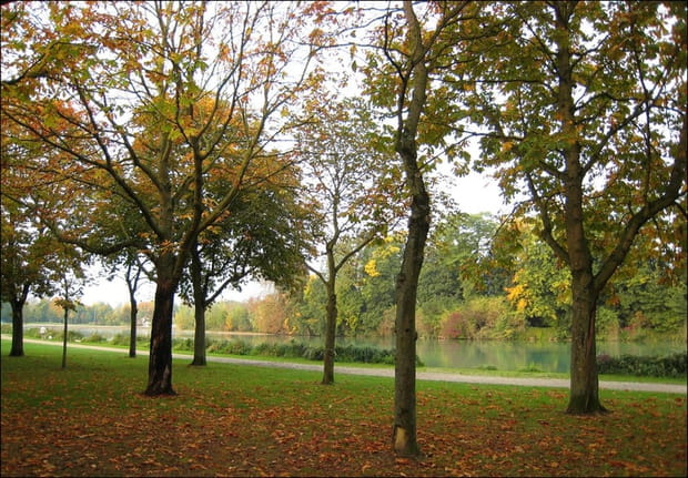 Le Grand Jard de Châlons-en-Champagne
