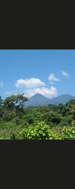 Le Salvador