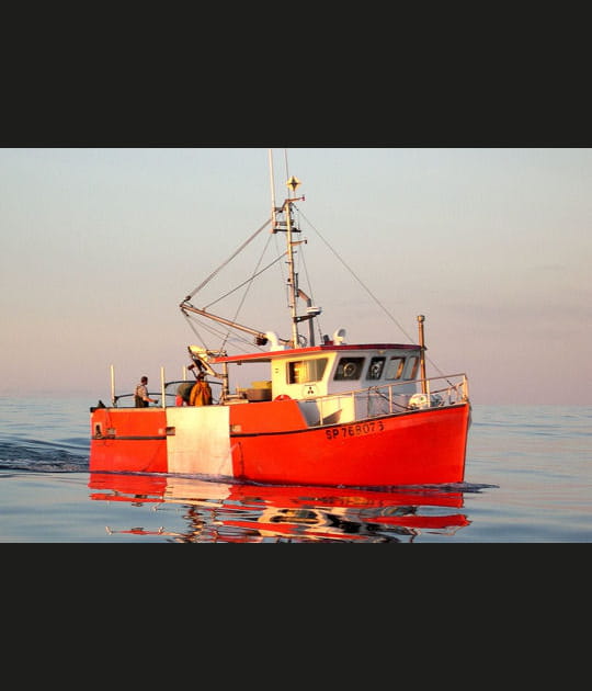 Dans les eaux froides