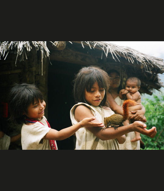 Exposition&nbsp;: Kogis, les dix ans de Tchendukua