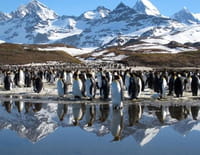 Terres de glace : Le répit de l'été