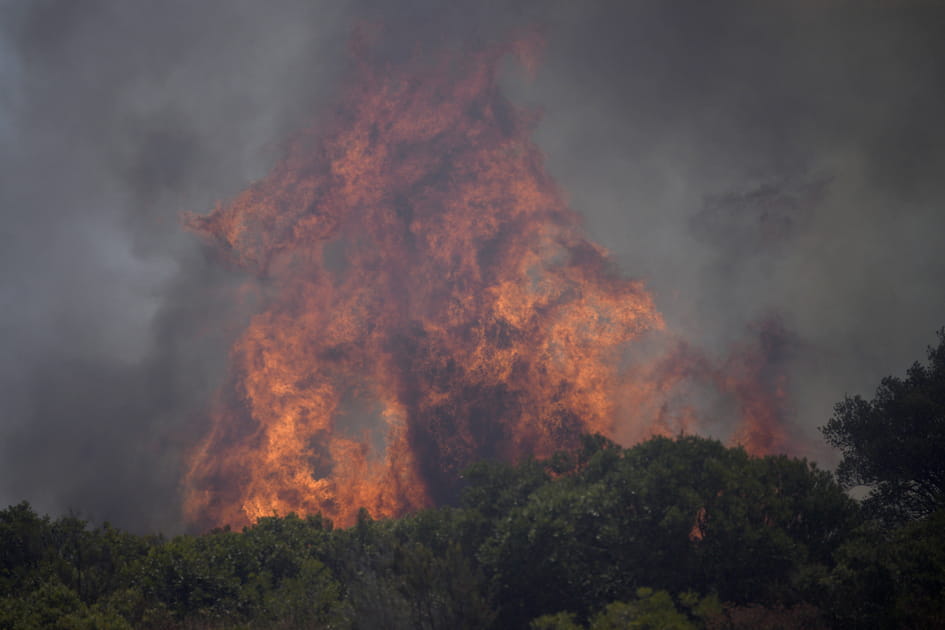 Feu de for&ecirc;t