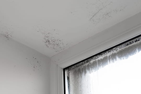 Adieu condensation et moisissure sur les fen&ecirc;tres&nbsp;: c'est la solution la plus efficace pour l'emp&ecirc;cher cet automne
