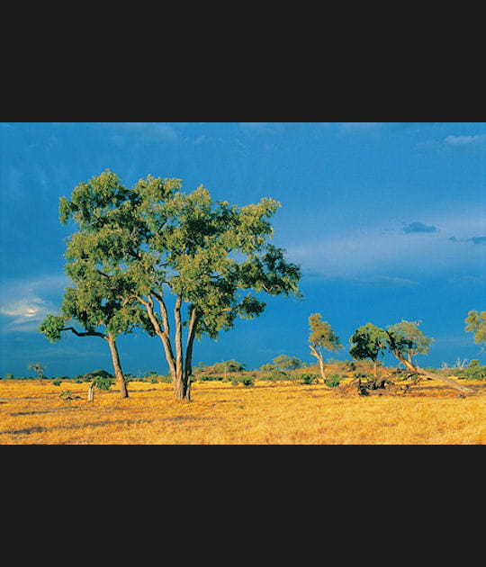 Botswana, les lumi&egrave;res d'un delta