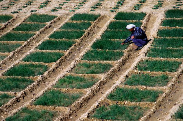 Une identité propre