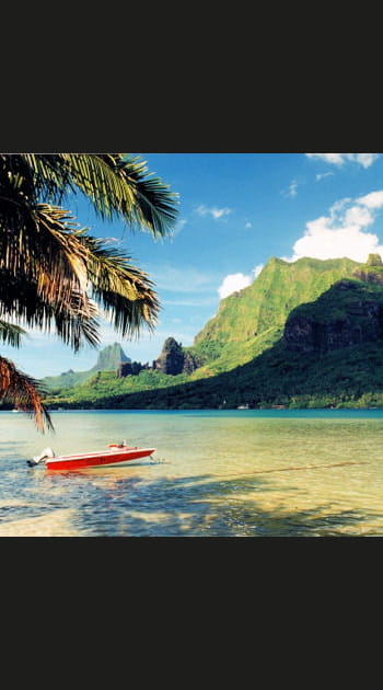 A Moorea, la baie de Cook