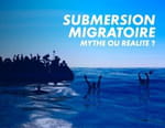 Submersion migratoire : mythe ou réalité
