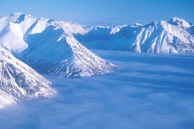 Les moutons du lac Clark