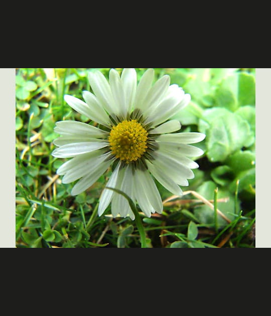 Je t'aime un peu, beaucoup ...