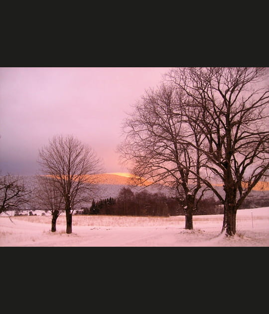 Cr&eacute;puscule en rose