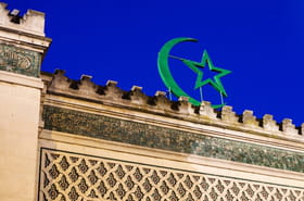 T&ecirc;tes de cochons d&eacute;pos&eacute;es devant des mosqu&eacute;es&nbsp;: un homme identifi&eacute; sur la vid&eacute;osurveillance