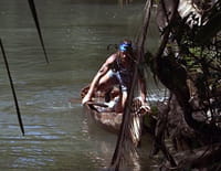 American Tarzan : Glissement de terrain
