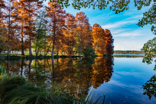Soustons, paré de belles couleurs d'automne dans les Landes