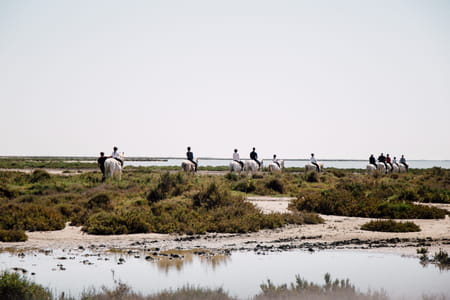 Camargue
