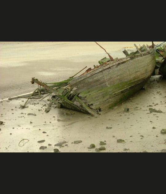 Carcasse &agrave; basse mer