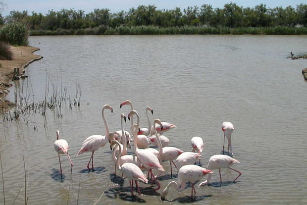 Sobriété japonaise