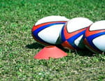 Rugby à XIII : NRL