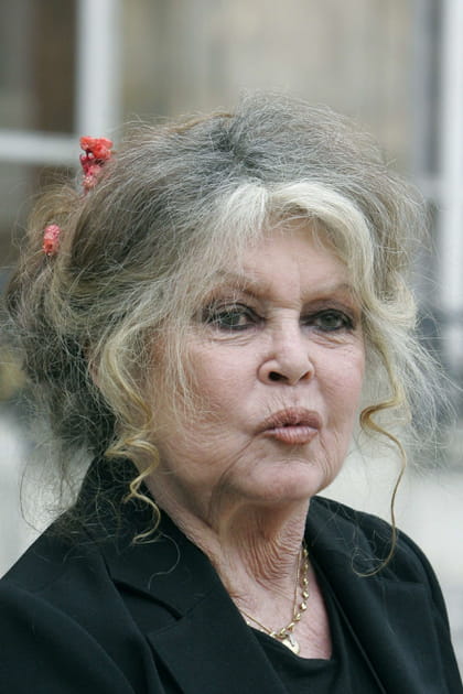 Brigitte Bardot a eu plusieurs prises de position pol&eacute;miques