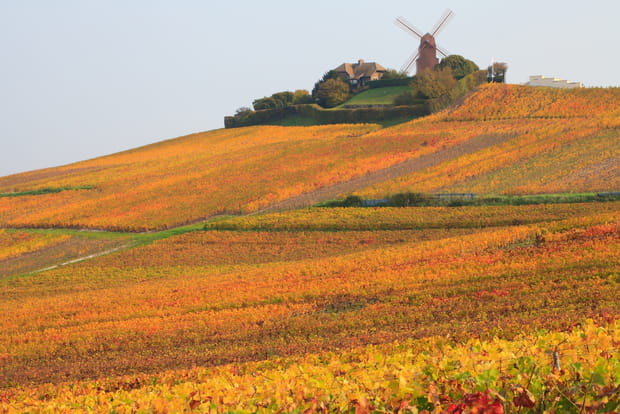 Sur la Route Touristique du Champagne à la Toussaint