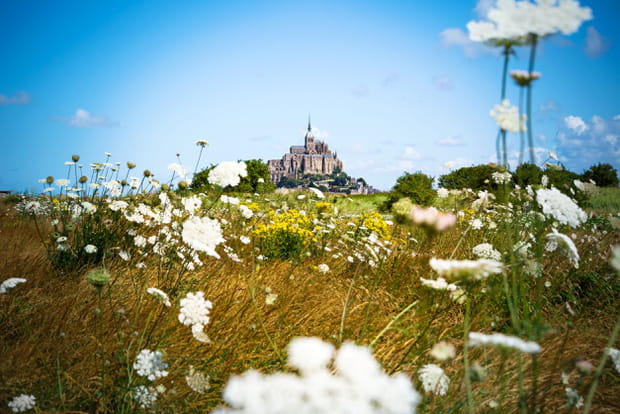Le Mont-Saint-Michel, la "merveille" de Normandie