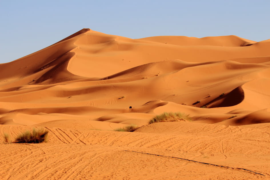 Le d&eacute;sert le plus vaste&nbsp;: le Sahara