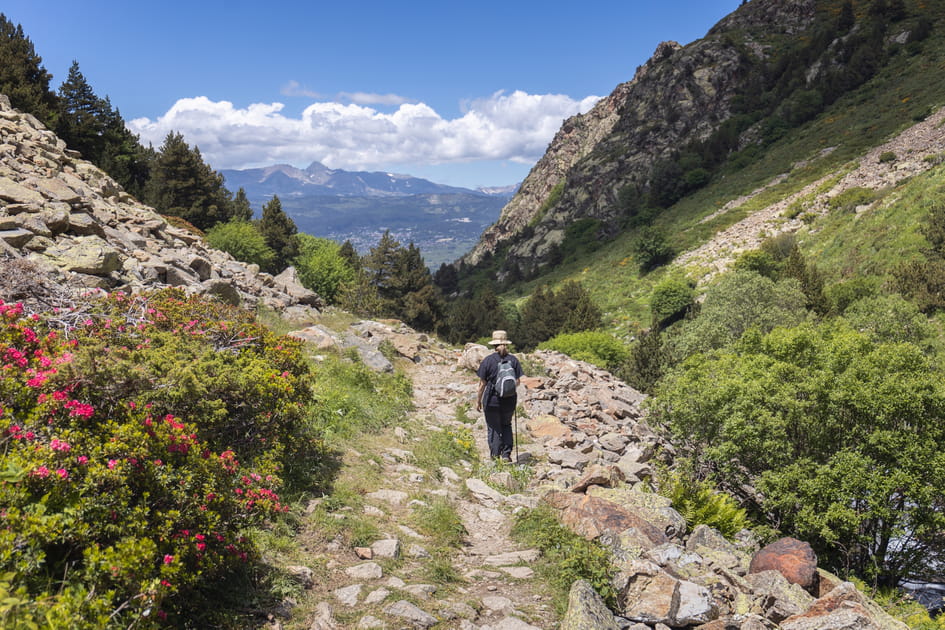 La Vall&eacute;e de l'Eyne, la catalane aux mille fleurs