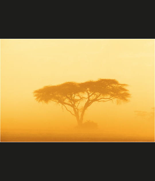 Un passionn&eacute; de jazz qui a voyag&eacute; en Afrique