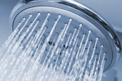 pommeau de douche
