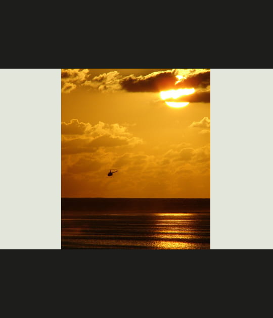 Safran sur la plage de Stleu