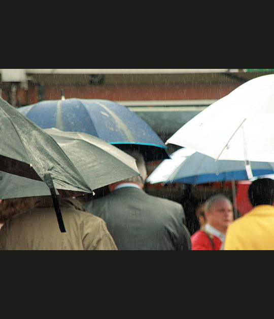 La pluie&nbsp;: invit&eacute; d'honneur de l'&eacute;dition 2008
