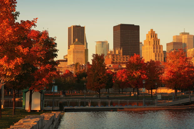 Montréal, une balade automnale au Mont-Royal