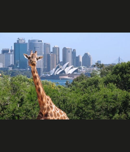 Sydney