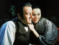 Le barbare et la geisha