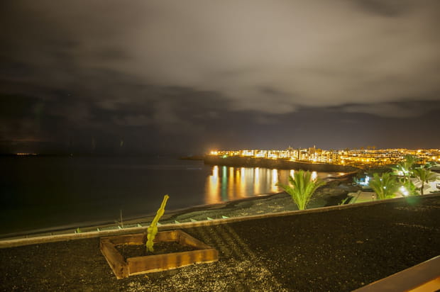 Papagallo sur l'île de Lanzarote