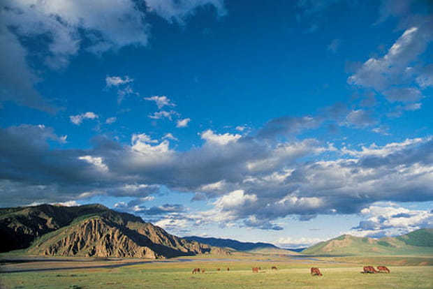 Mongolie, racines nomades...