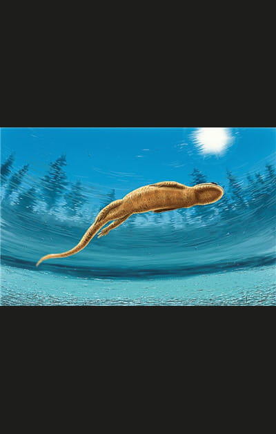 Nager comme un poisson