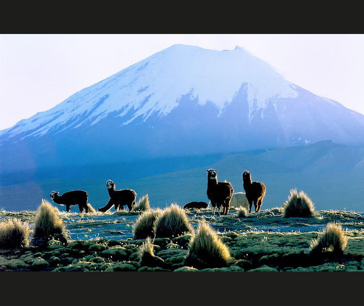 Le jour d&eacute;cline au parc Sajama