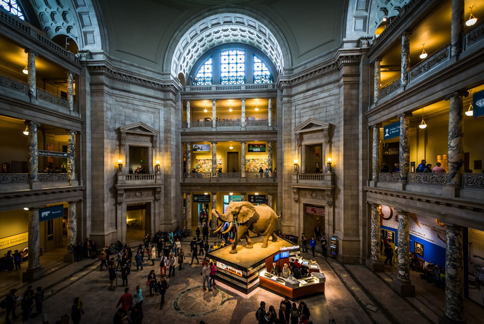 Le National Museum of Natural History, &agrave; Washington