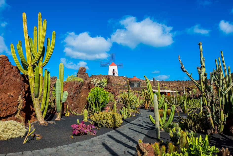 Jardin de Cactus