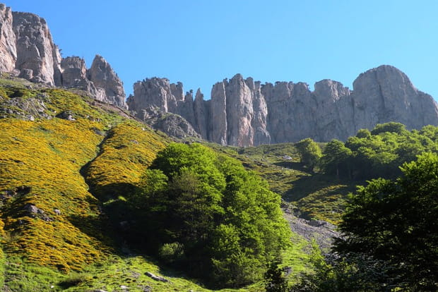 La vallée d'Aspe