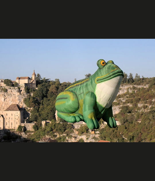 L'envol de la grenouille