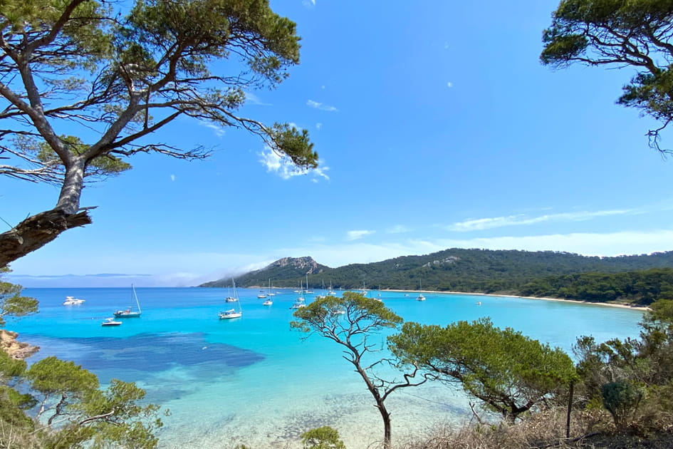 L'&icirc;le de Porquerolles dans le Var, pour une exploration &agrave; v&eacute;lo