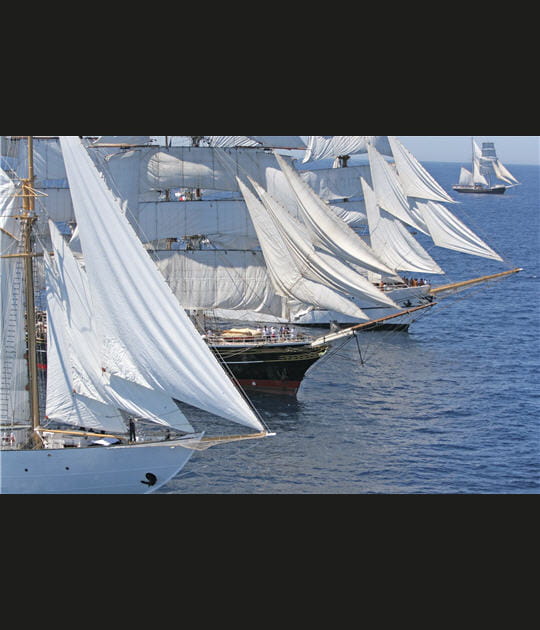 Les g&eacute;ants des mers sur la m&ecirc;me ligne