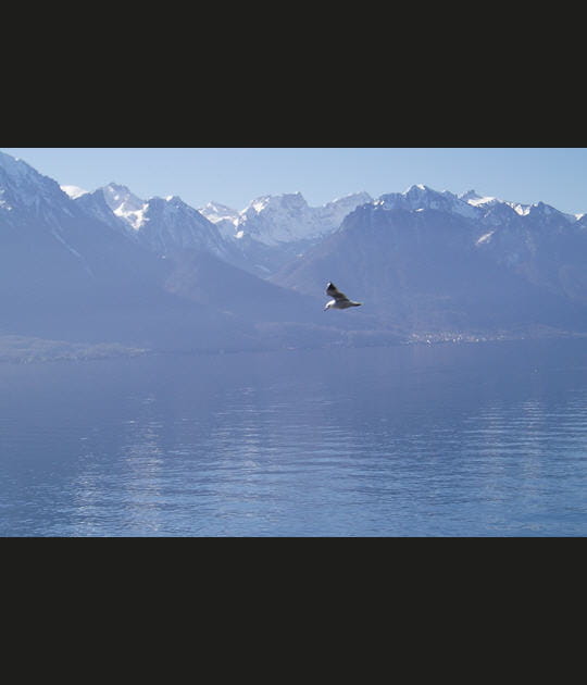 Le Lac L&eacute;man, Suisse et France
