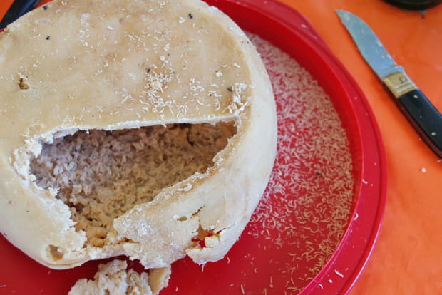 Le casu marzu en Sardaigne