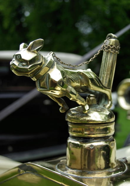 Mascotte Chien Rover