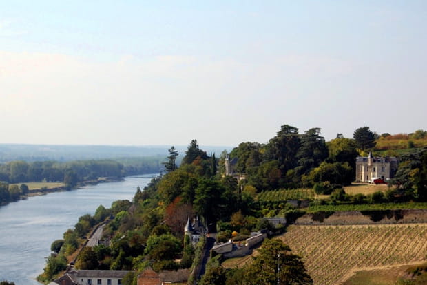 Sur la route des vins de Loire