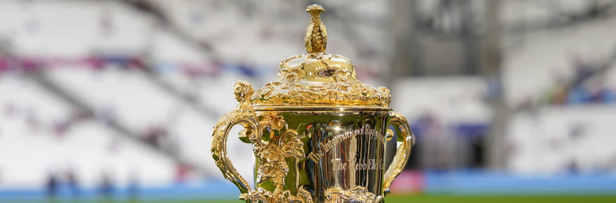 DIRECT. Tirage de la Coupe du monde de rugby 2027&nbsp;: jackpot pour le XV de France, l'Australie avec la Nouvelle-Z&eacute;lande, tous les groupes