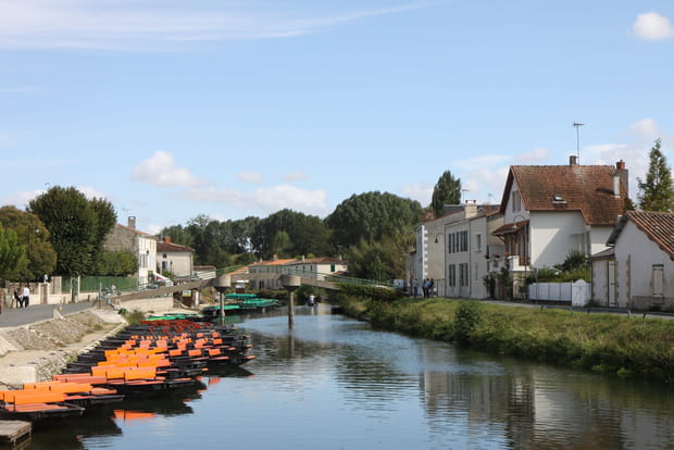 Coulon